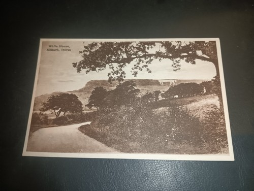 The white horse from - white,