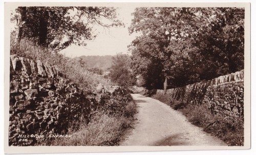 Mill wood shepley huddersfield - wood,