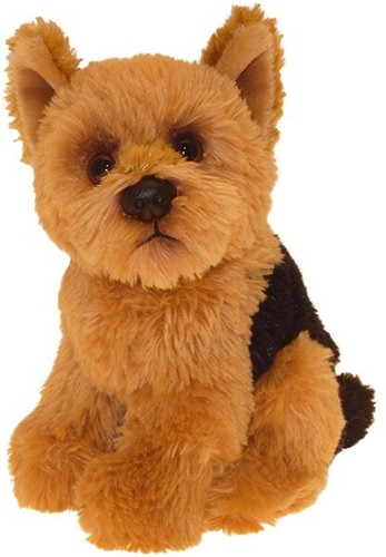 Orsacchiotto yorkshire terrier - orsacchiotto,