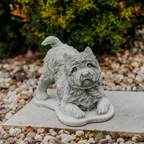 Cane yorkshire terrier statua - yorkshire,