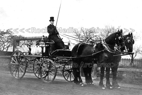 Whh horse drawn hearse - whh-33,