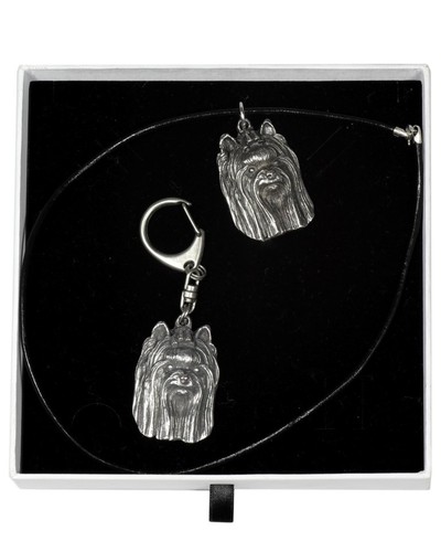 Yorkshire terrier tipo set - tipo, 2