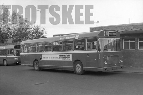 35mm black and white - black, negative