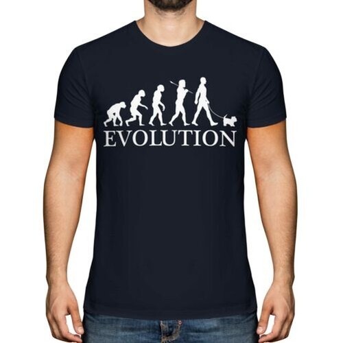 Yorkshire terrier evolution - yorkshire,