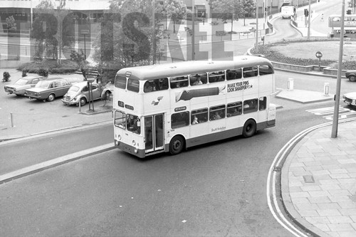 35mm black and white - black,