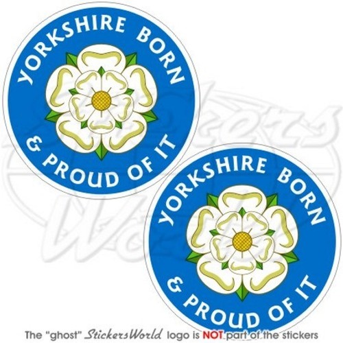 Yorkshire nato rosa bianca - yorkshire,