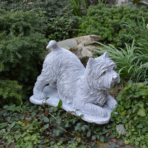 Cane yorkshire terrier - yorkshire, statua