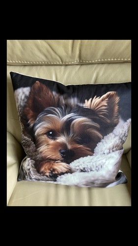 Yorkshire terrier dog winter - terrier,
