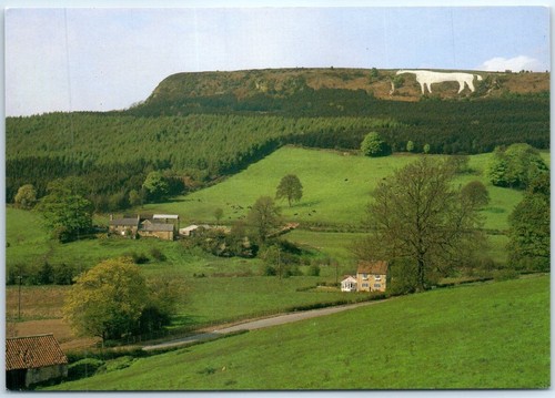Cartolina kilburn white - cartolina,