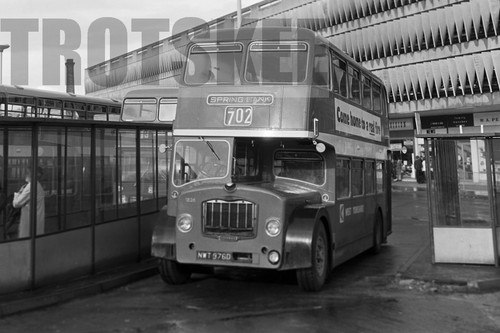 35mm black and white - 35mm,