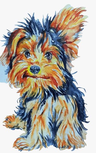 Yorkshire terrier arte cane