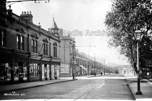 Bzz street view with tram - street,
