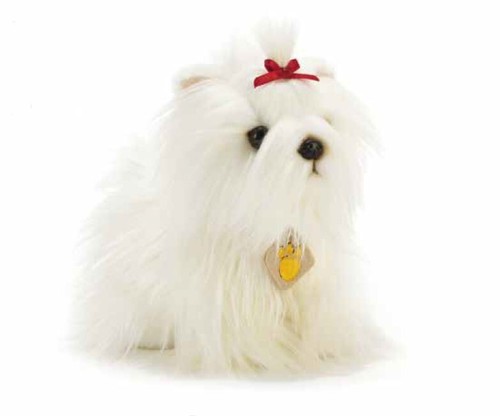 Peluche cane yorkshire - peluche,