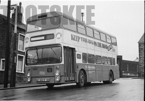 35mm black and white negative - white,