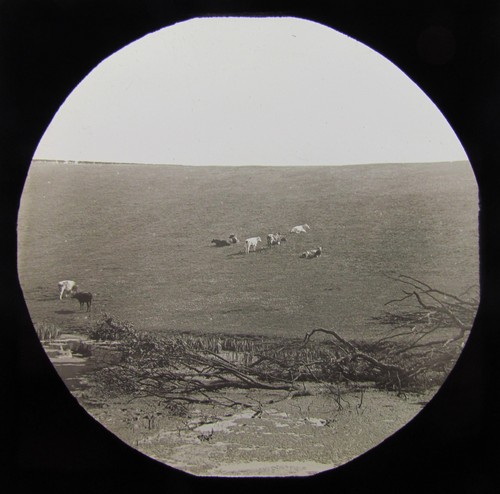 Glass magic lantern slide - magic,
